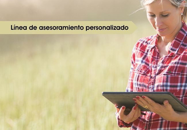 Asesoramiento personalizado para empresas en Valladolid