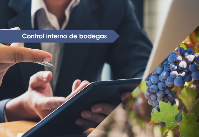 Control interno de bodegas en Valladolid